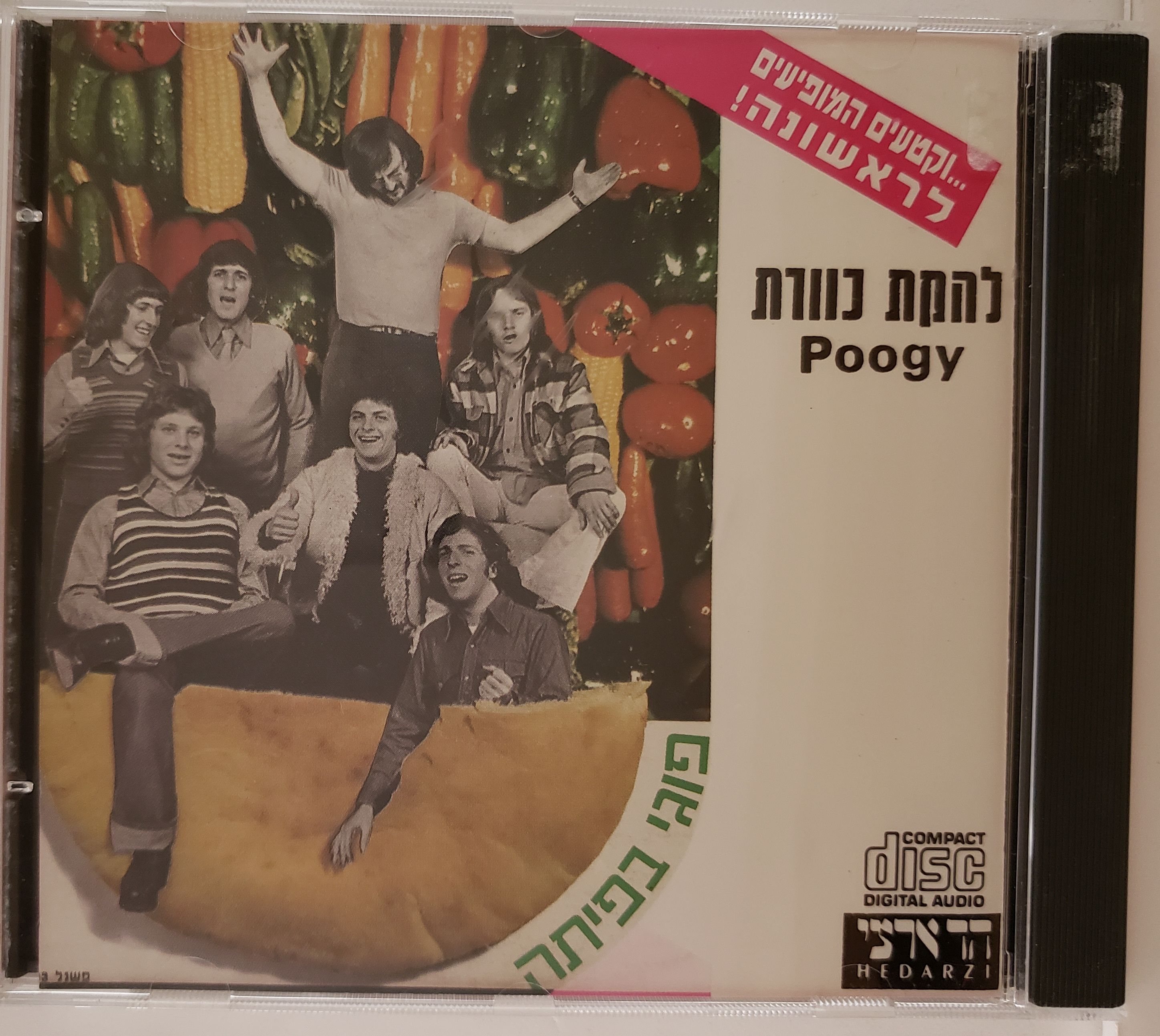 פוגי בפיתה