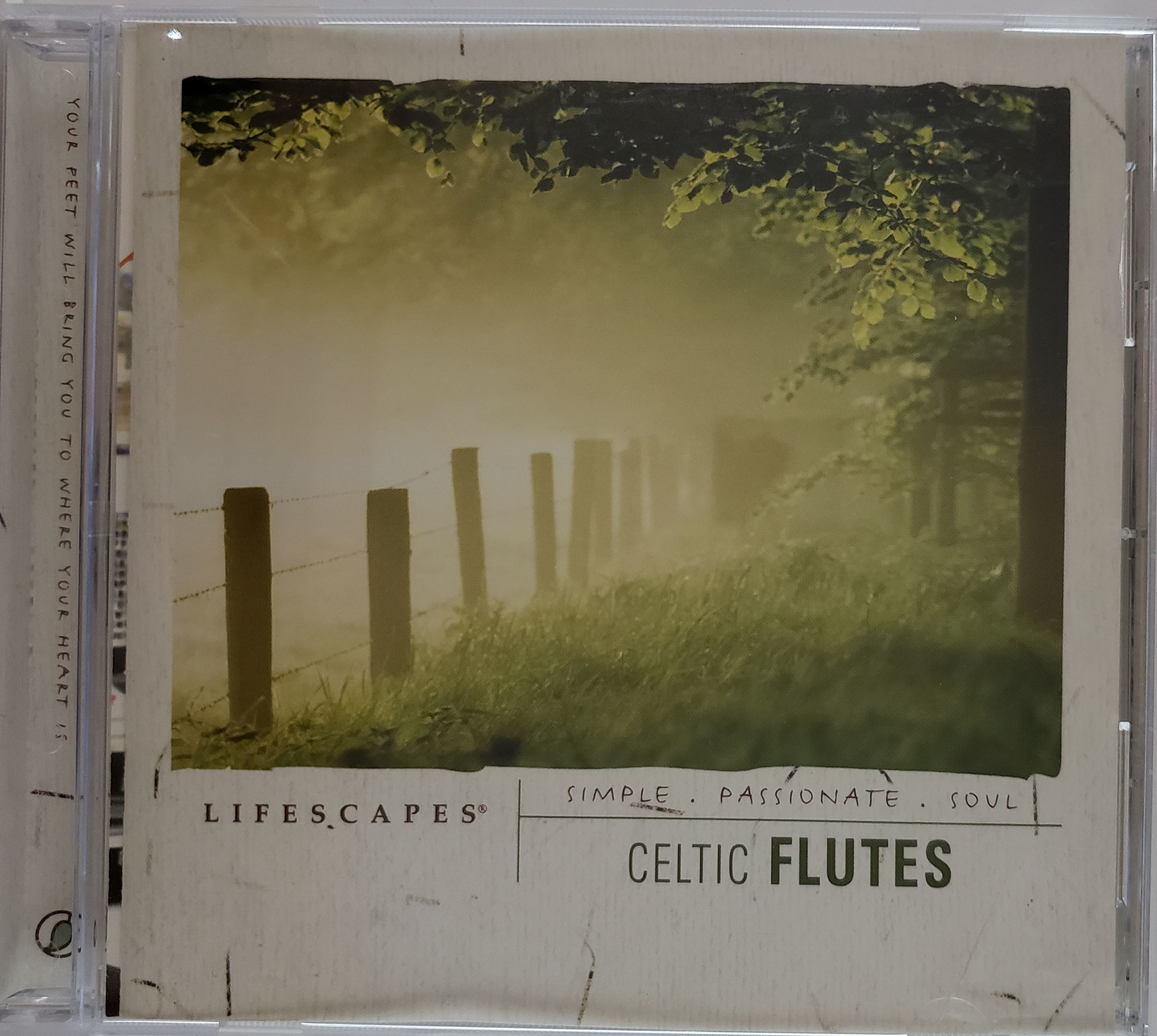 Lifescapes Celtic Flutes
