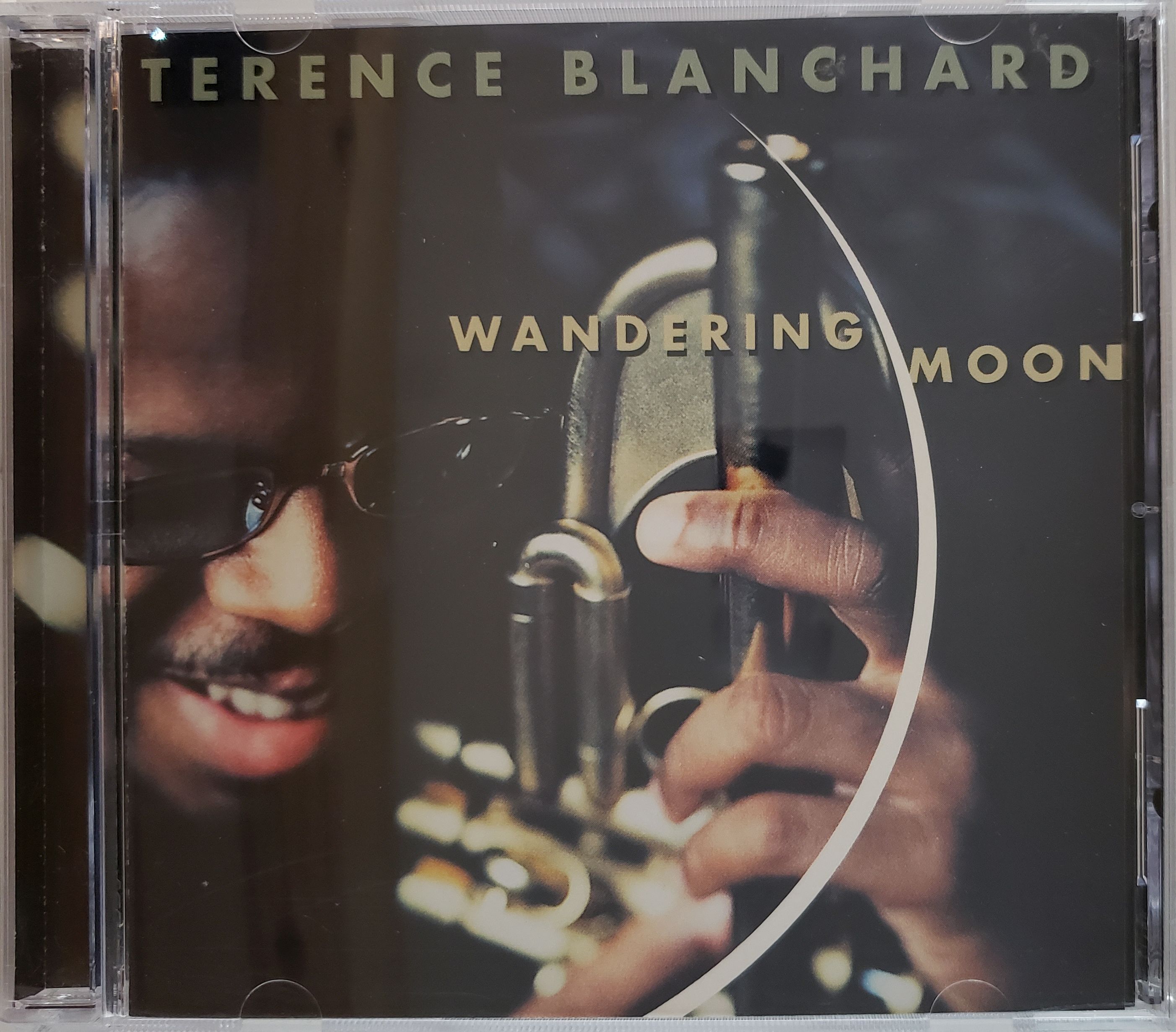 Wandering Moon
