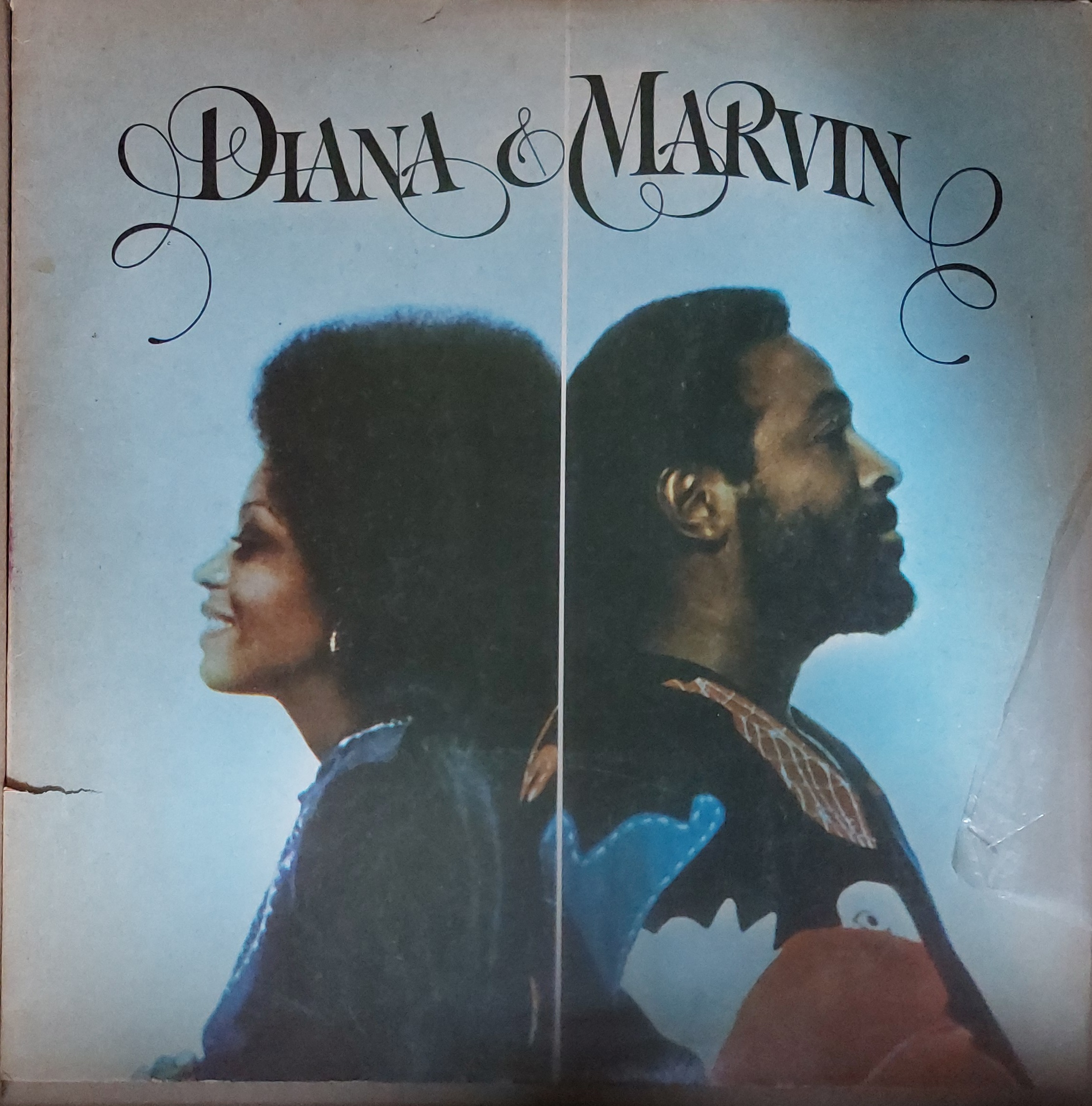 Diana & Marvin